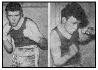 billy steele boxer|Author Topic: Belfast boxers (Read 570349 times).